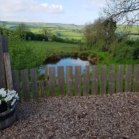 Eco Accommodation Cornflower Craven Arms Kültér fotó