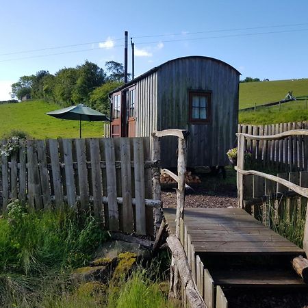 Eco Accommodation Cornflower Craven Arms Kültér fotó