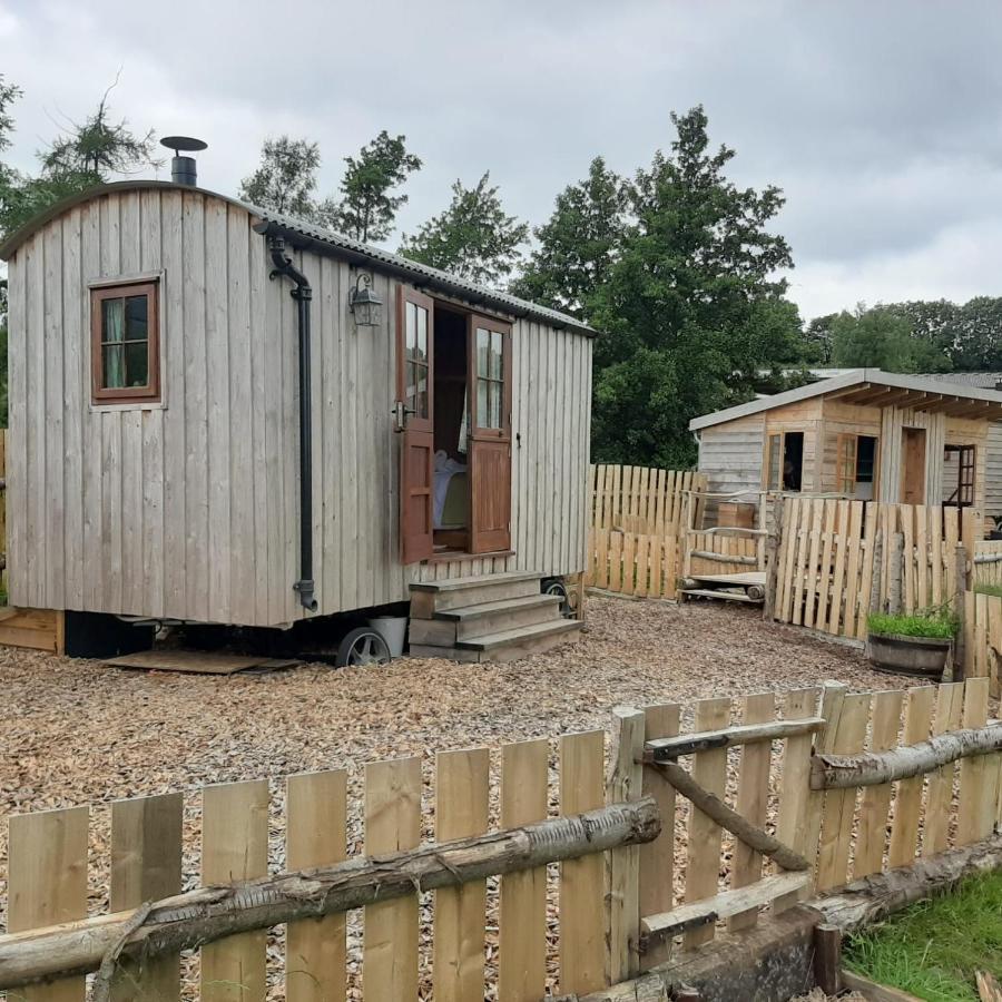 Eco Accommodation Cornflower Craven Arms Kültér fotó