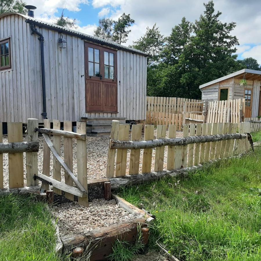 Eco Accommodation Cornflower Craven Arms Kültér fotó