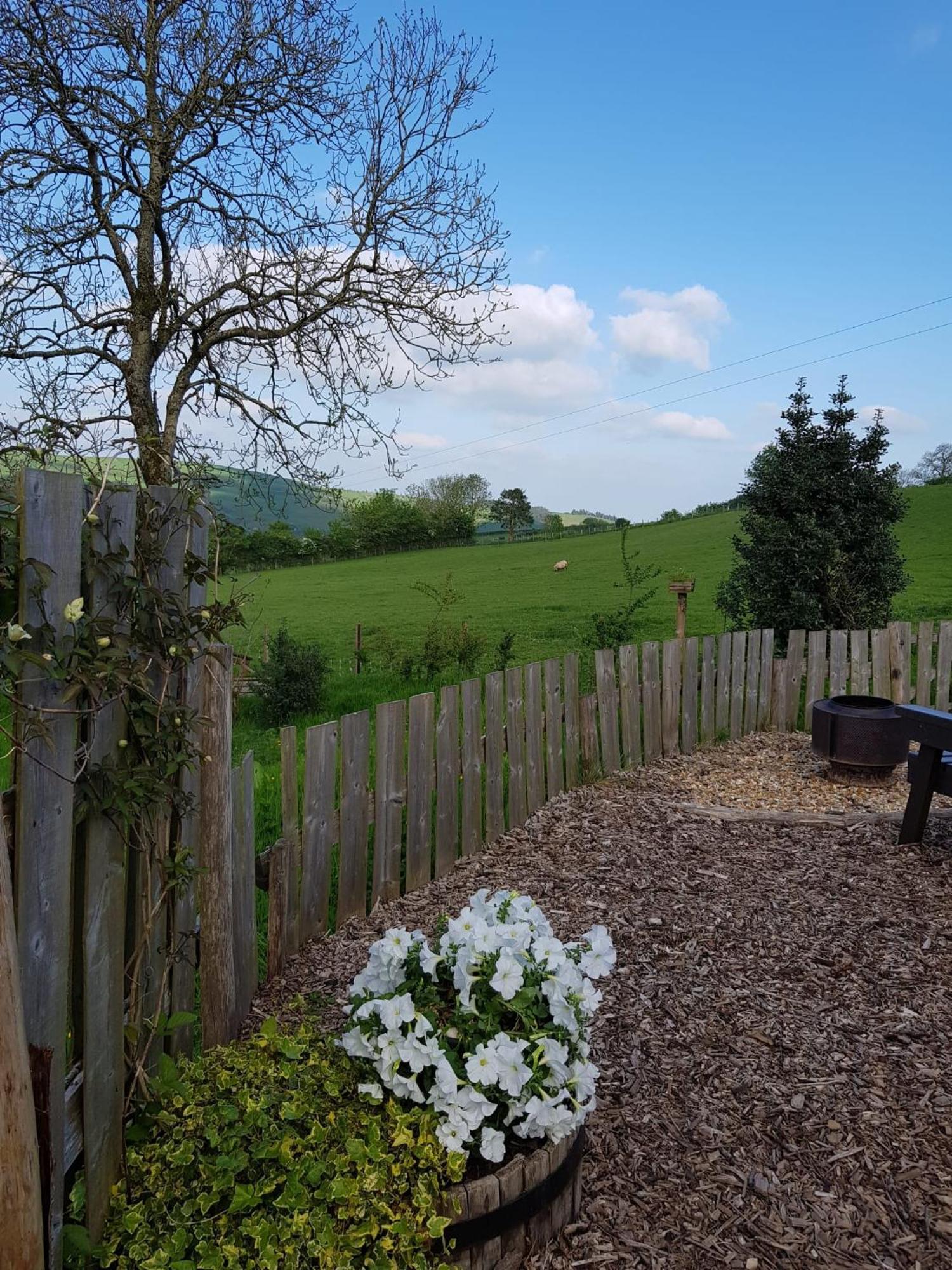 Eco Accommodation Cornflower Craven Arms Kültér fotó