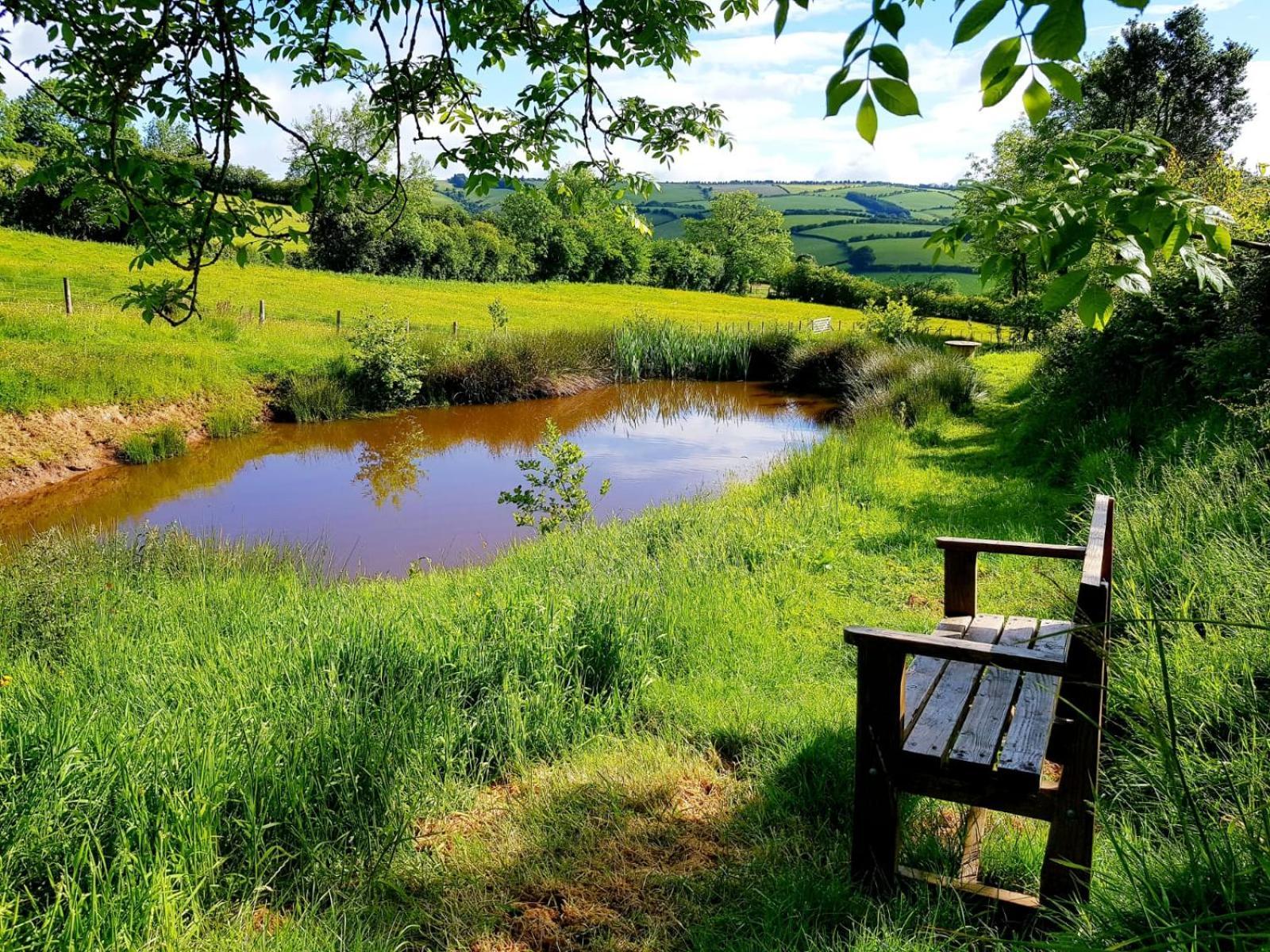 Eco Accommodation Cornflower Craven Arms Kültér fotó